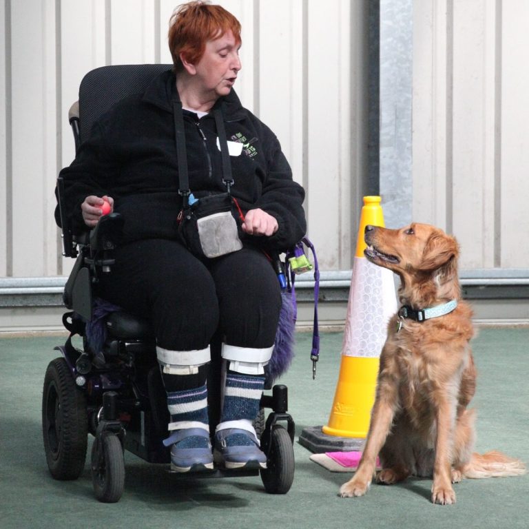Our logo which features a wheelchair wheel with a paw at the centre over a walking stick lying on its side and the words 'Para Obedience'