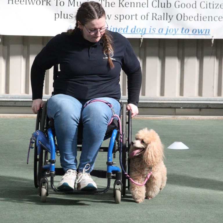 Our logo which features a wheelchair wheel with a paw at the centre over a walking stick lying on its side and the words 'Para Obedience'